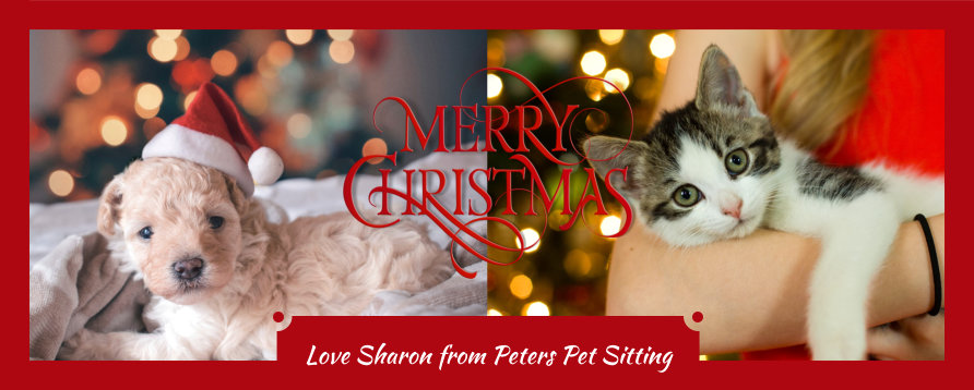 Merry Christmas from Peters Pet Sitting
